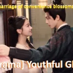 [Cdrama] Youthful Glory Plot Summary & Ending Spoiler Cast 2025 韶华若锦