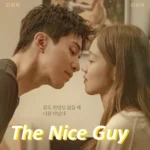 [K drama] The Nice Guy cast & Plot Ending & filming location 2025
